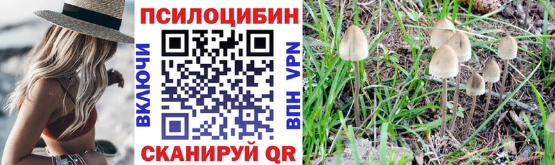 нарко площадка Telegram  Дрезна  Галлюциногенные грибы прущие грибы 
